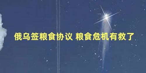 俄乌签粮食协议 粮食危机有救了